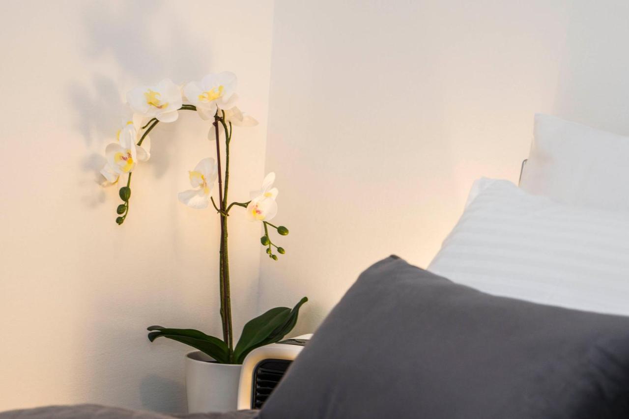 Apartment Summer Dreams Split Eksteriør bilde